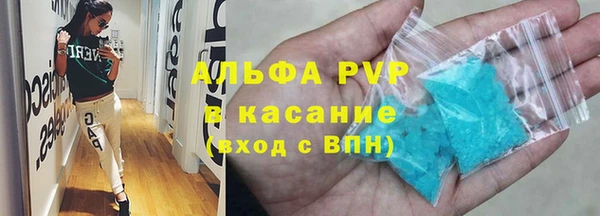 гидра Белокуриха