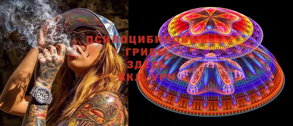 гидра Белокуриха